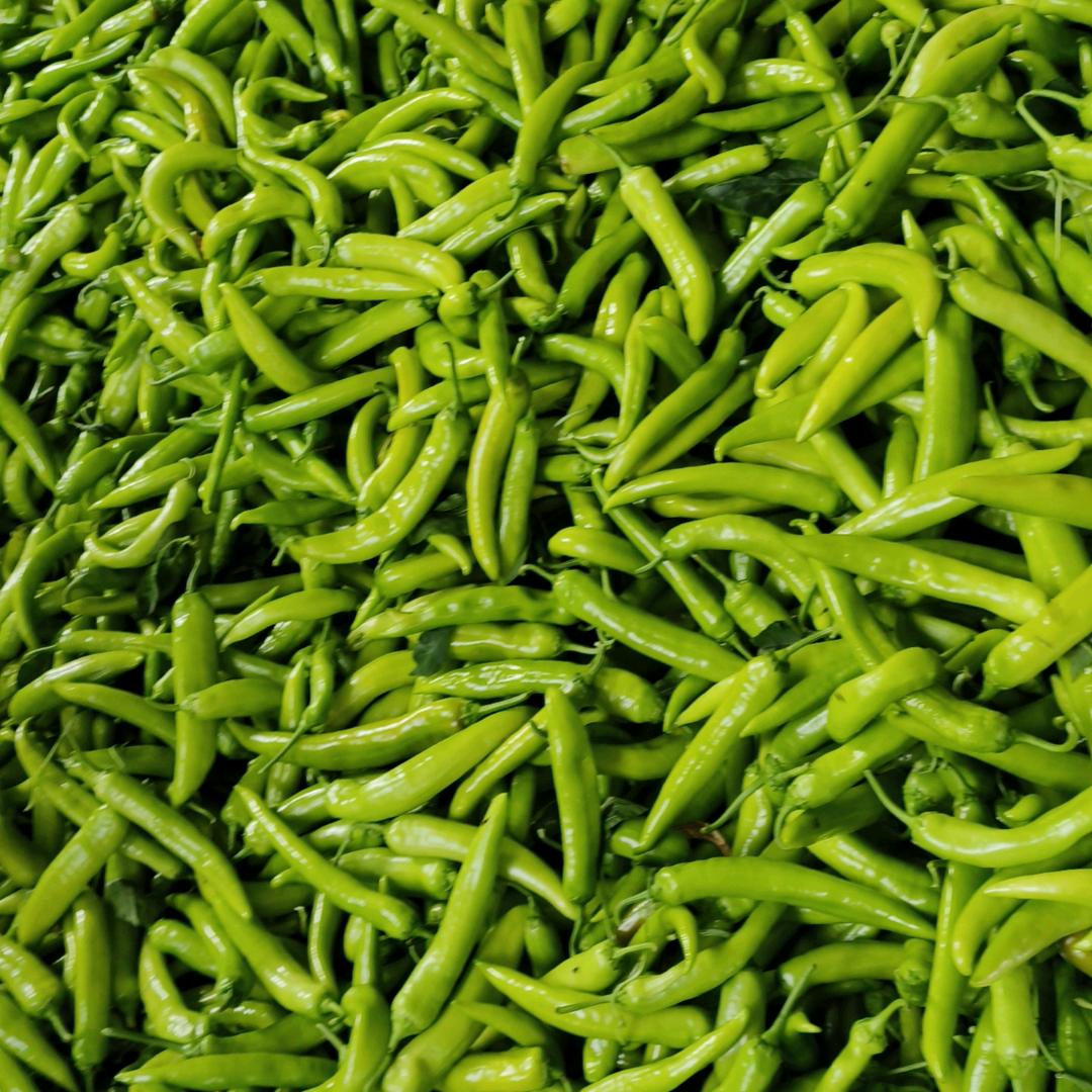 鞍山市晓宇代收蔬菜