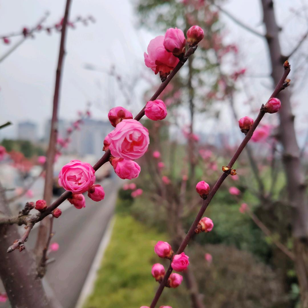 妥妥的80后