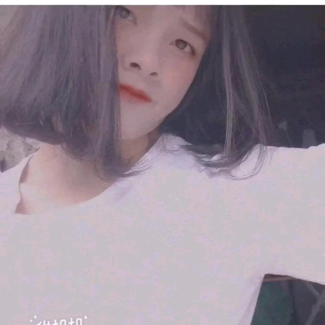 琴宝