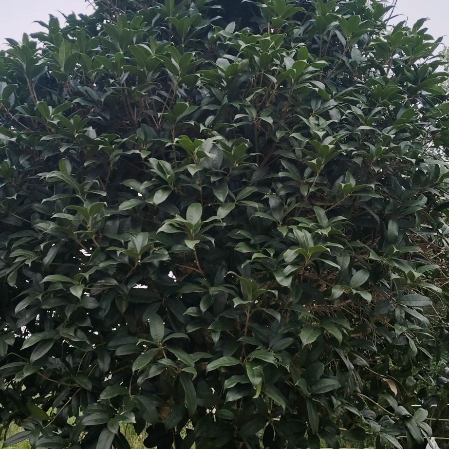 顺其自然。