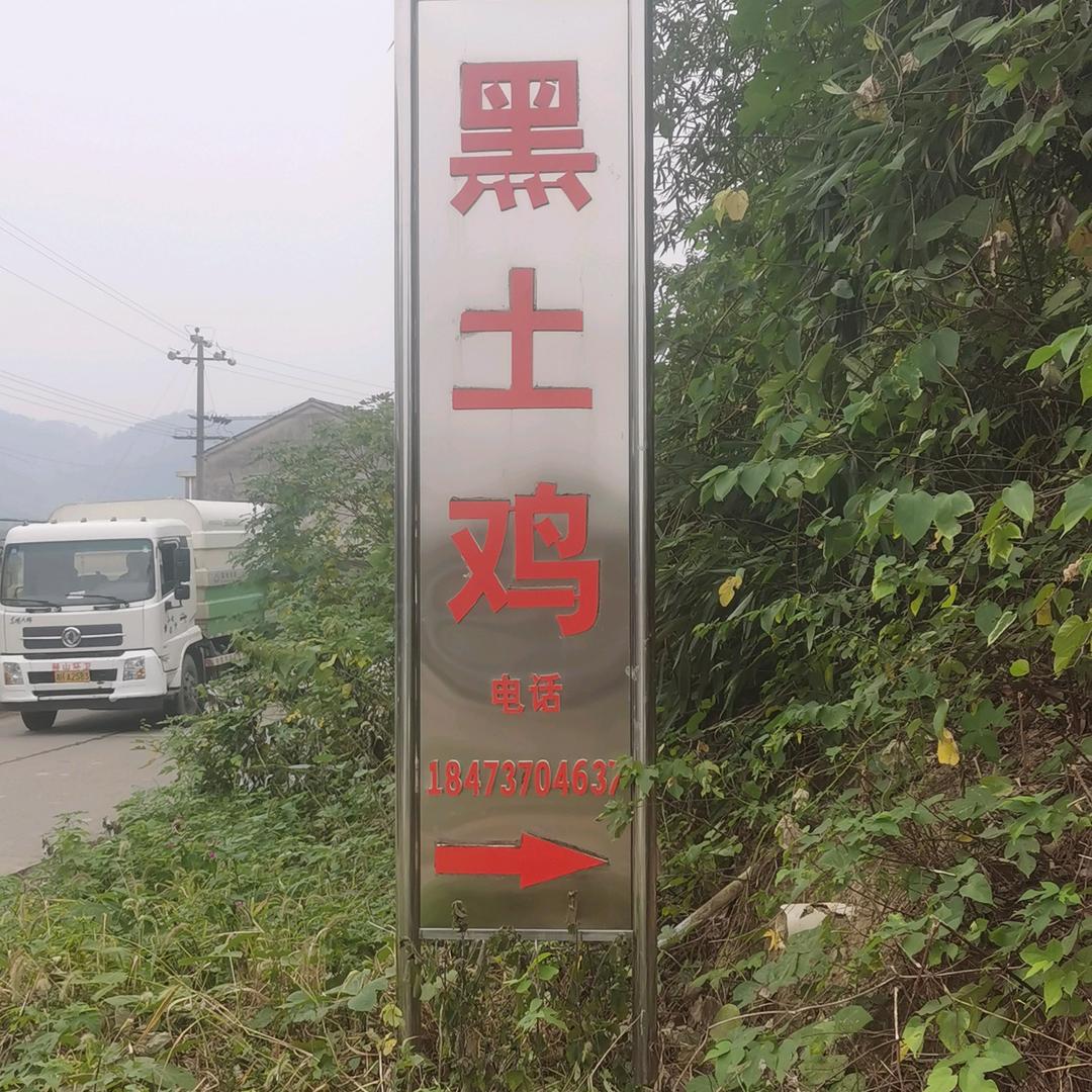 坳柴坡生态农场