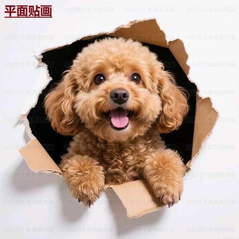 萌宠宝贝