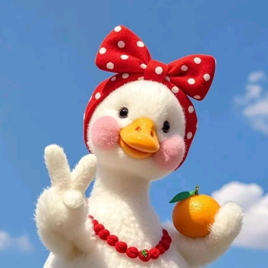 小付的日记@抖音