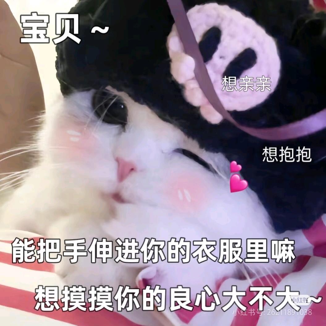 嘉煜ʚ🧸ྀིɞ