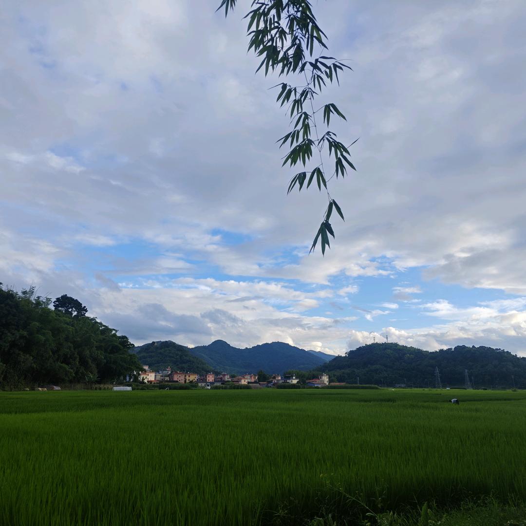 ꧁꫞꯭岁月沧海꯭꫞꧂