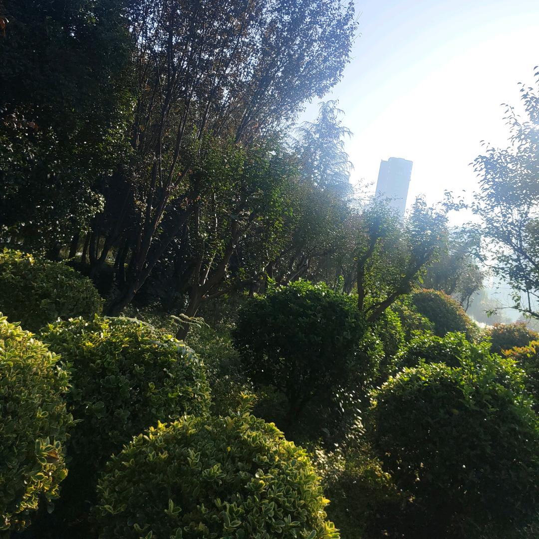 平安健康就是福