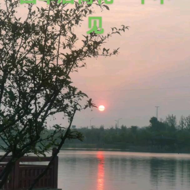 阳光明媚