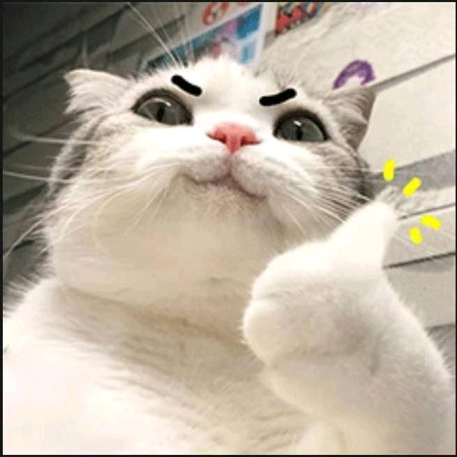 玩转防水的阎歪歪