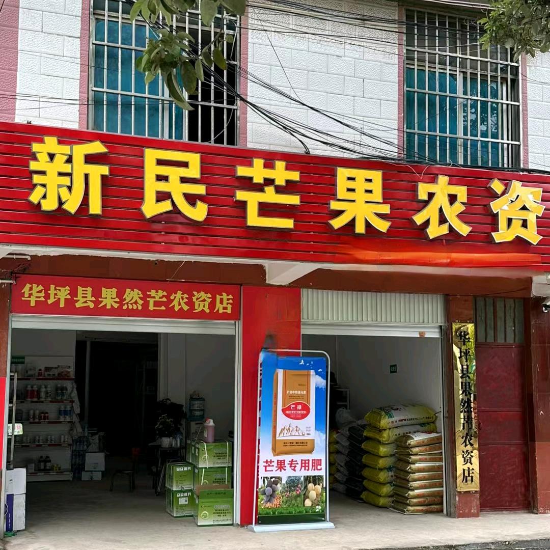 新民芒果~罗银华