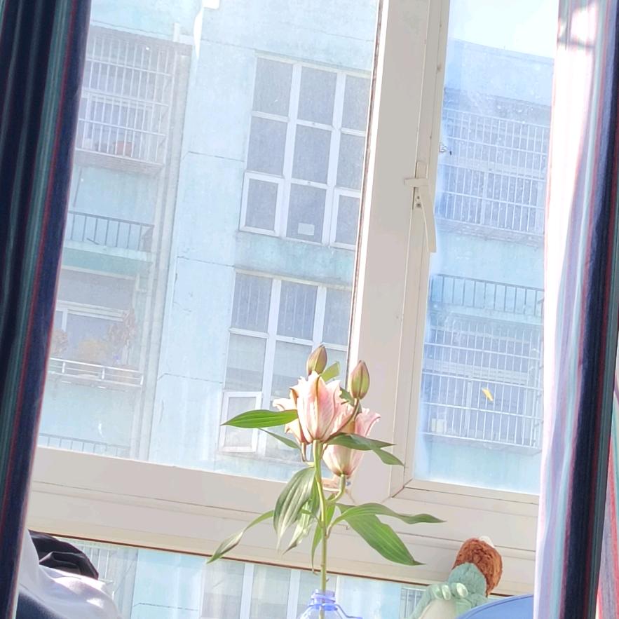 暴富发财梦