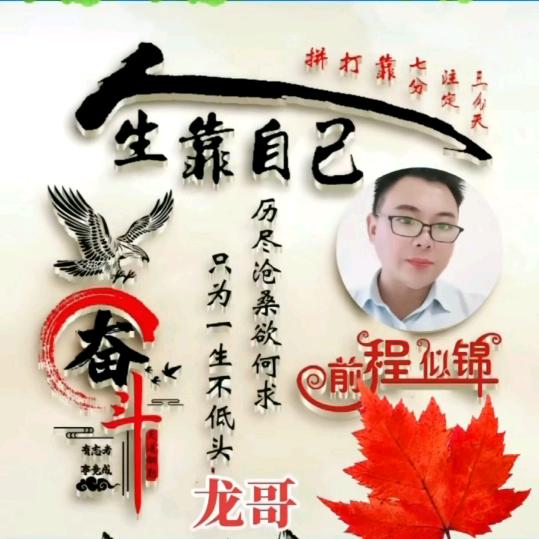 龙哥
