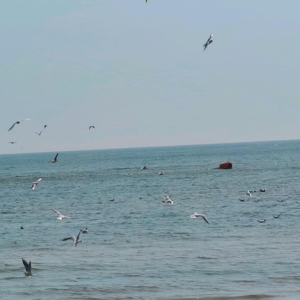 一梦浮生