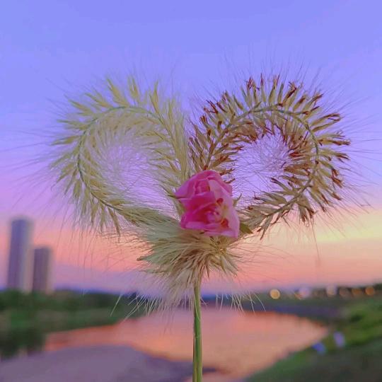 亲静可馨