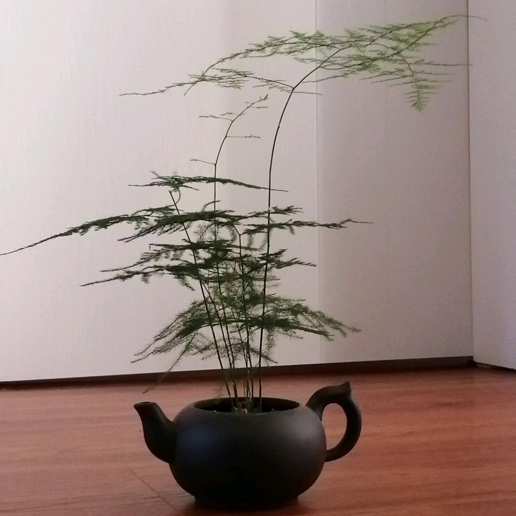 晴天哥