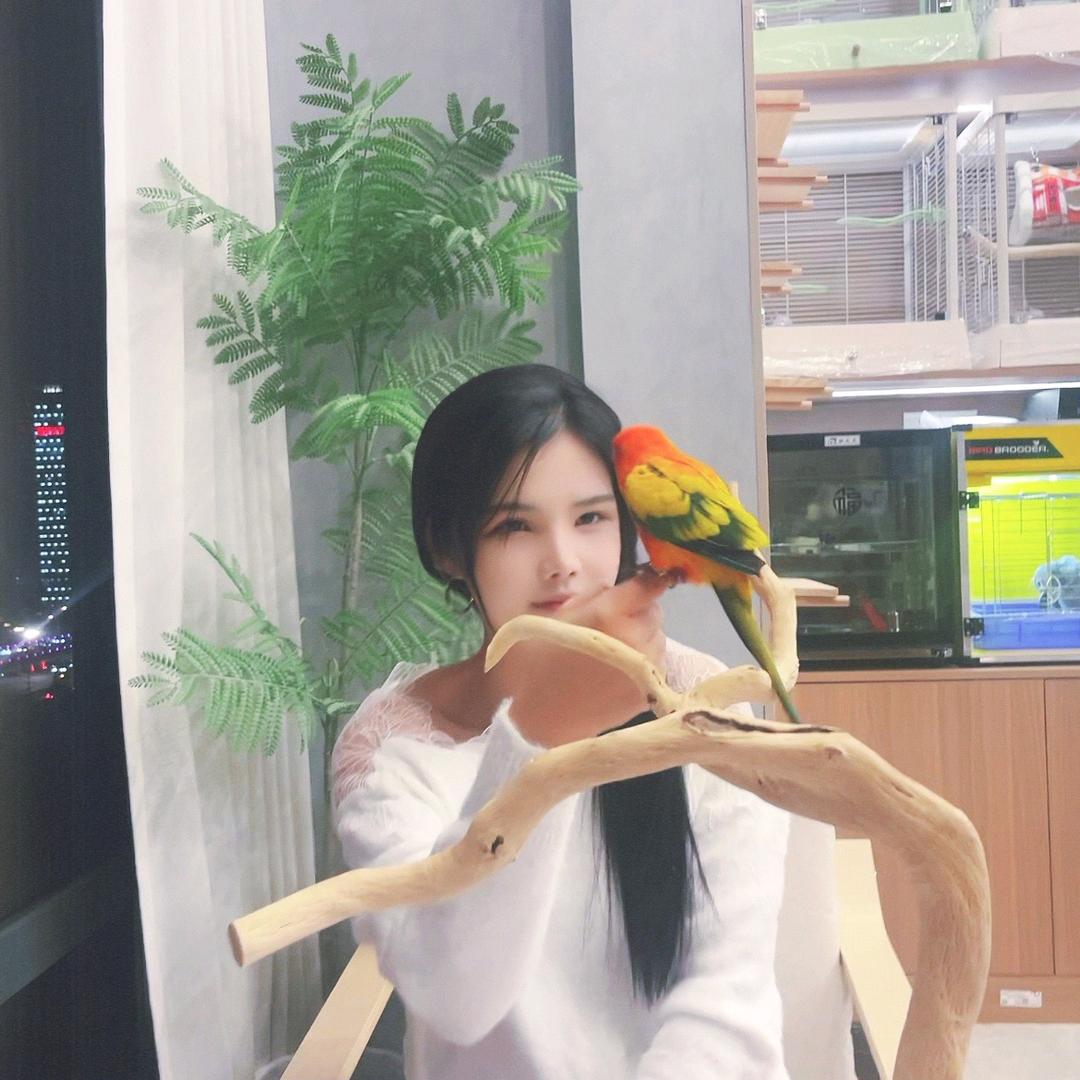 无锡趣宠鹦鹉养殖基地