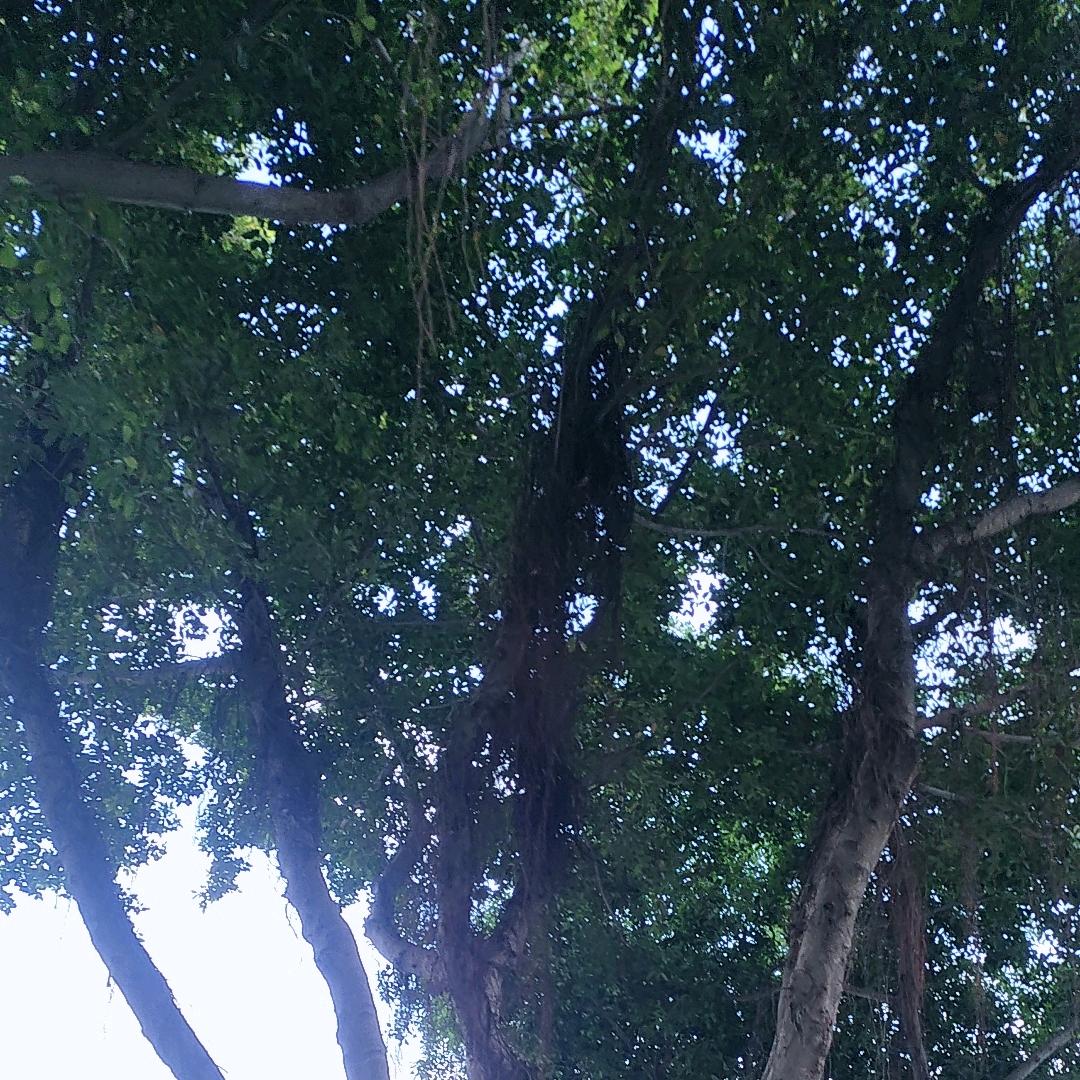 🥀এ᭄不必 ꦿ谁💔懂我ོ