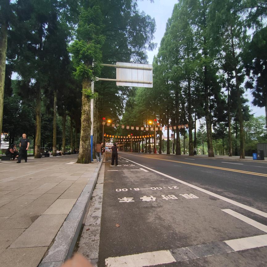 马蹄拍