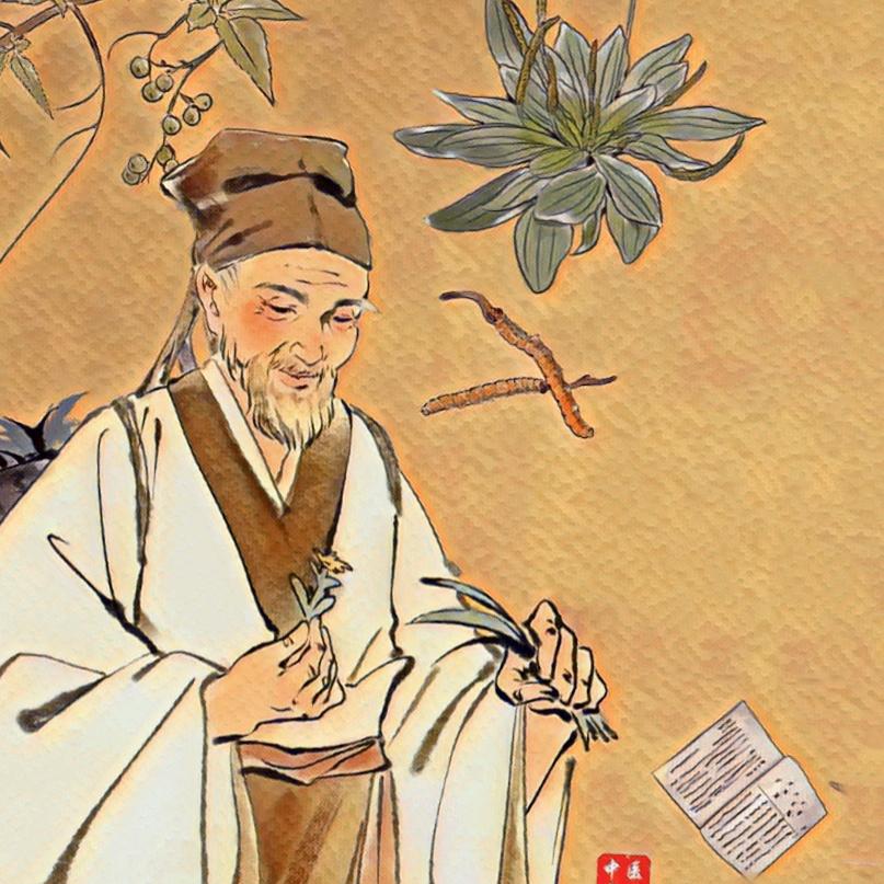 本草实录