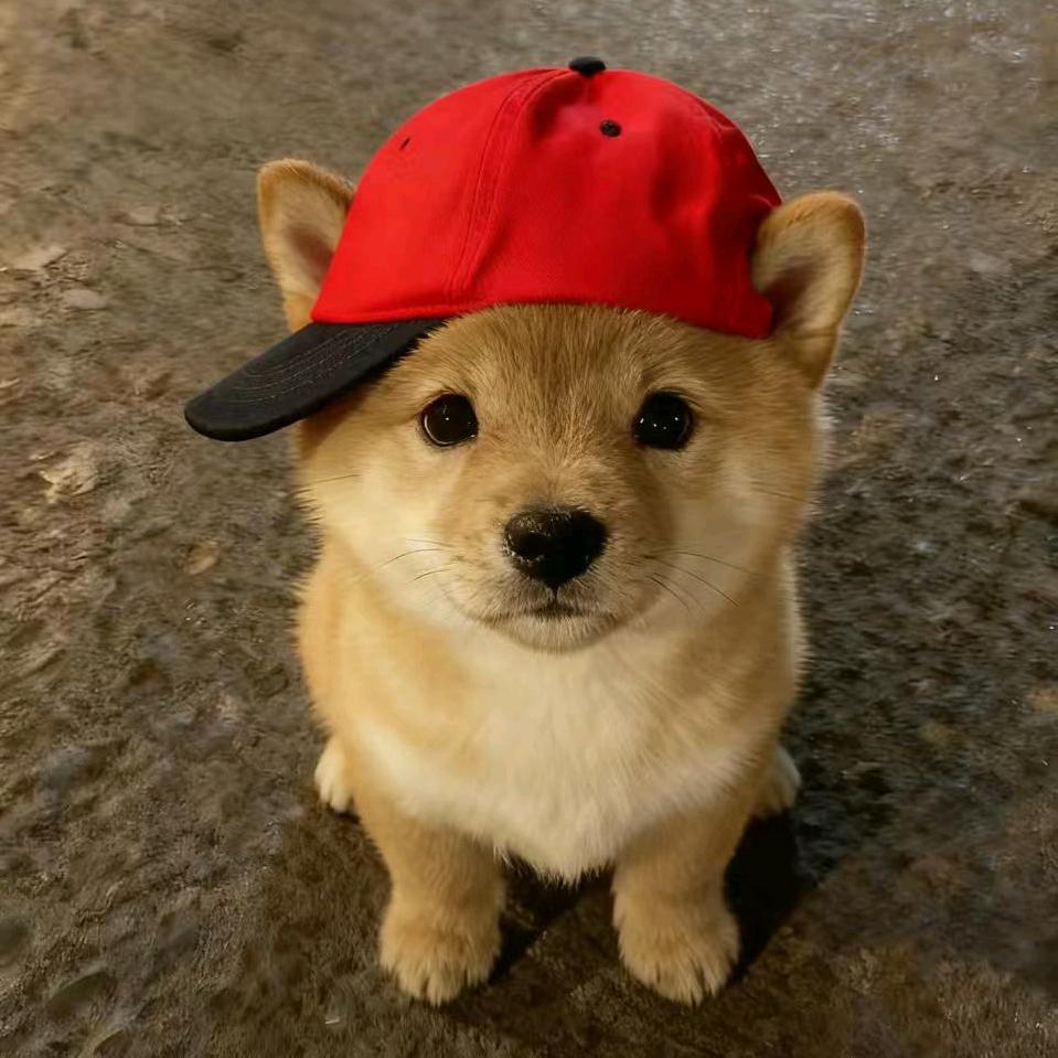 挽筝