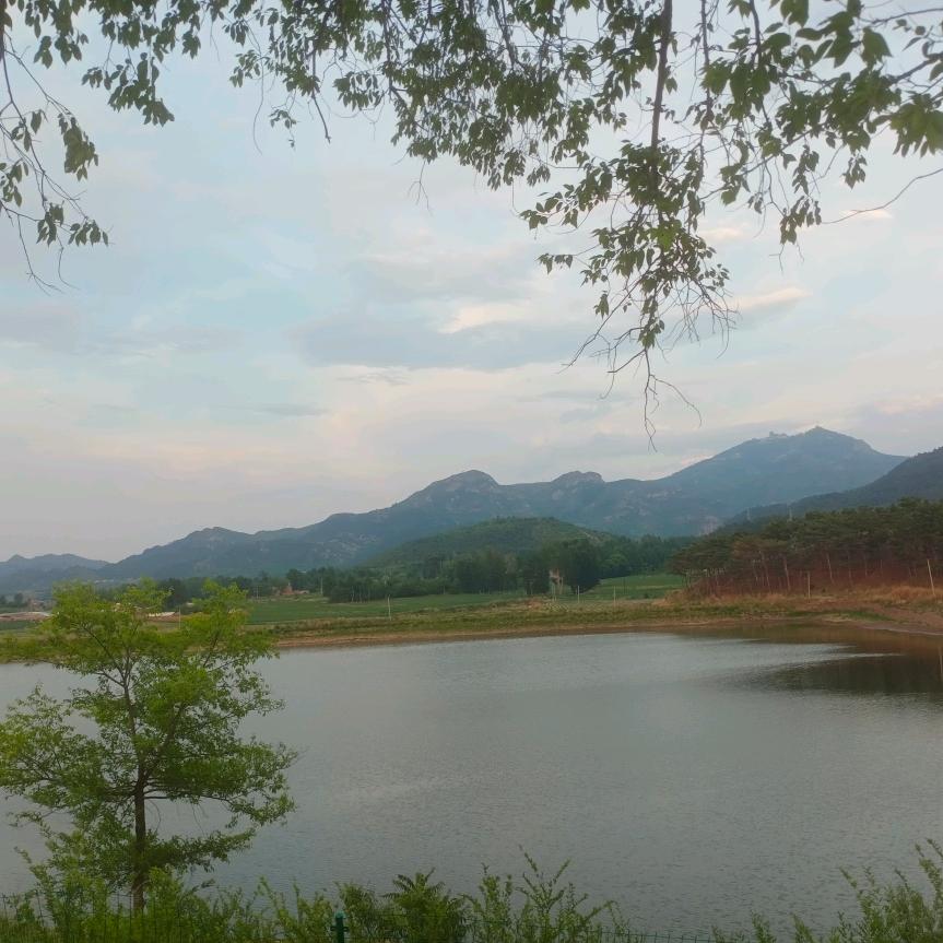 用户8831852090341团圆