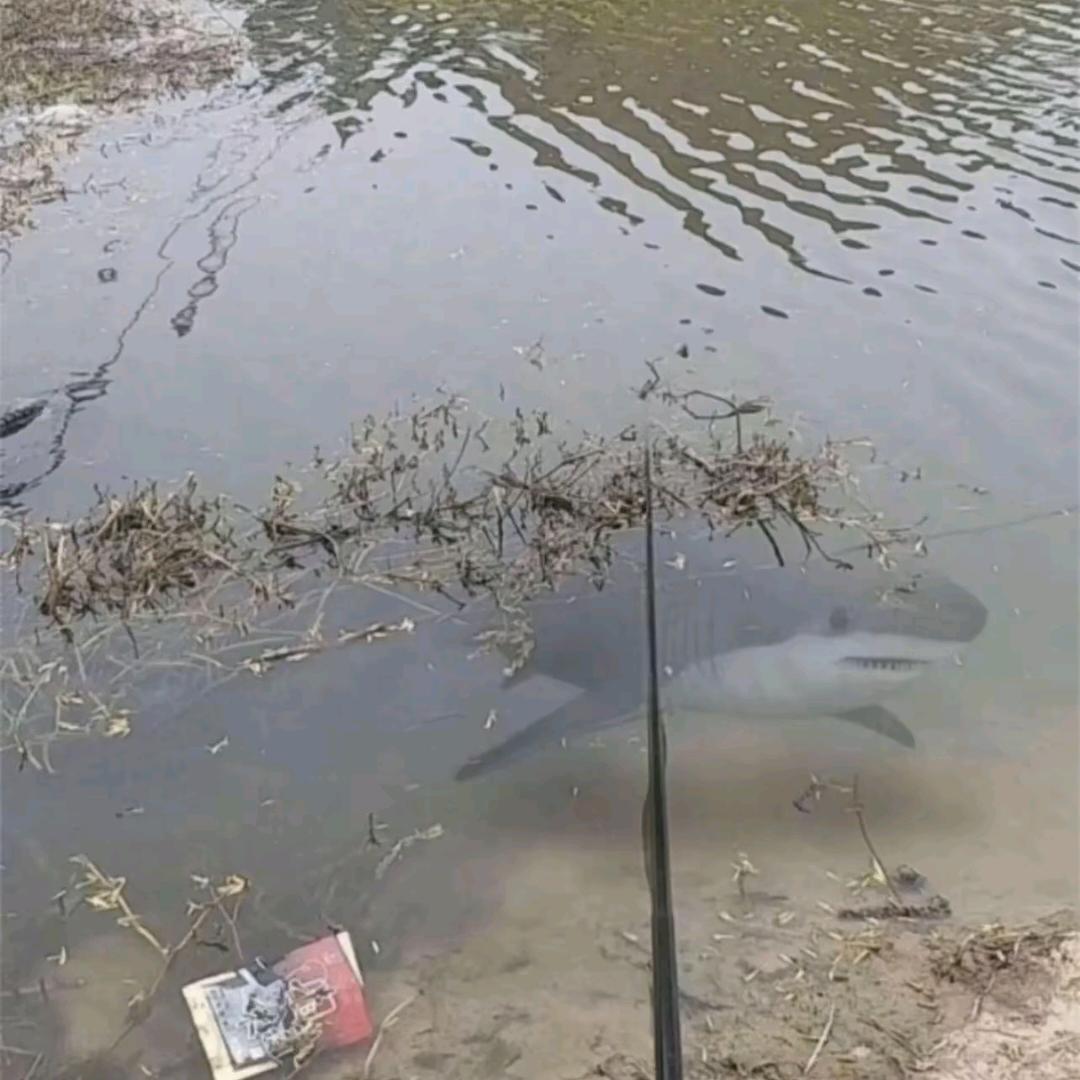 ♥ℒℴѵℯ ཻ粉怒🐤的小尿ꦿ᭄এ⁵²