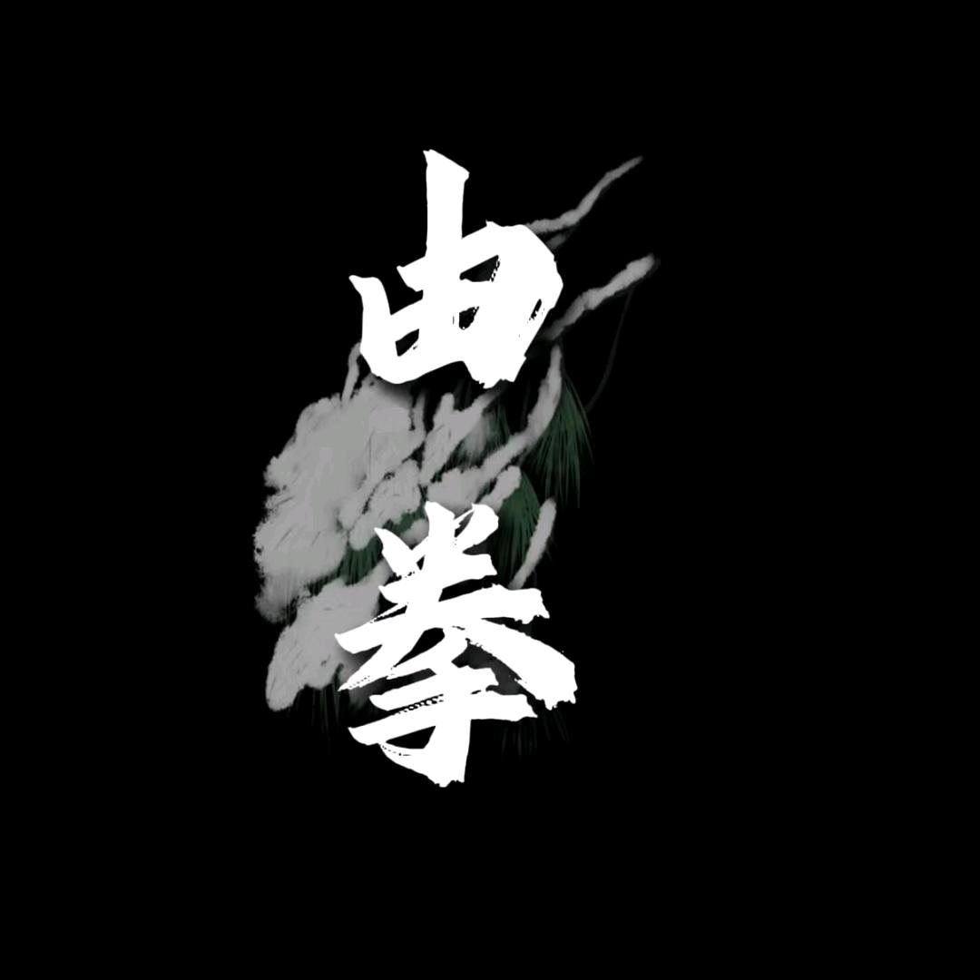 由拳团队