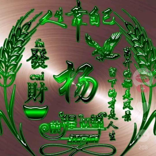 杨晓飝