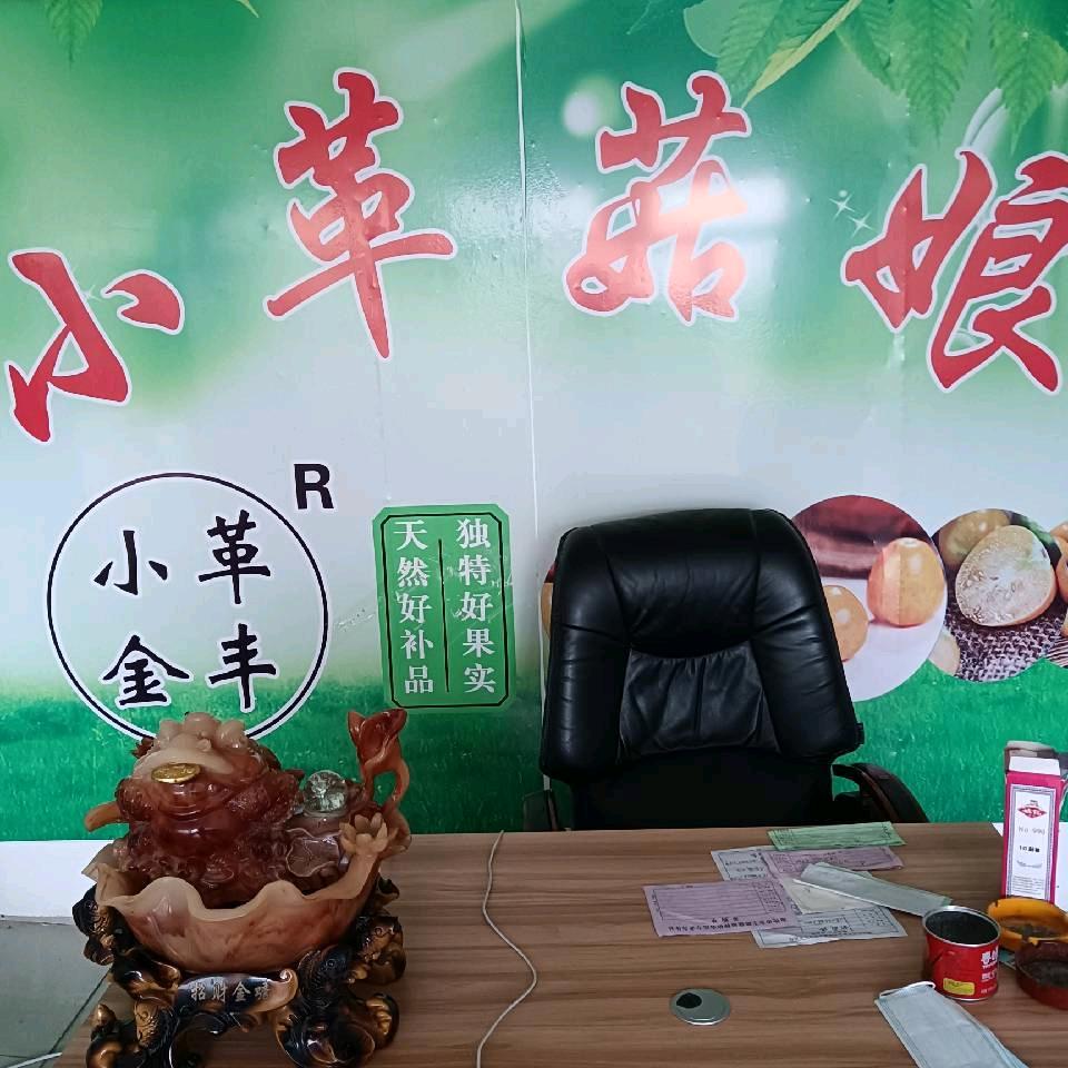 君子务本，本立而道生