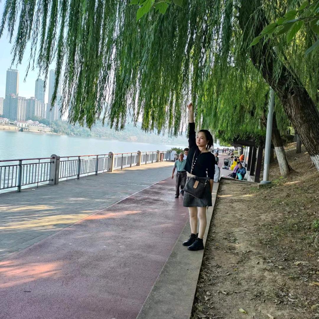 早茶月光