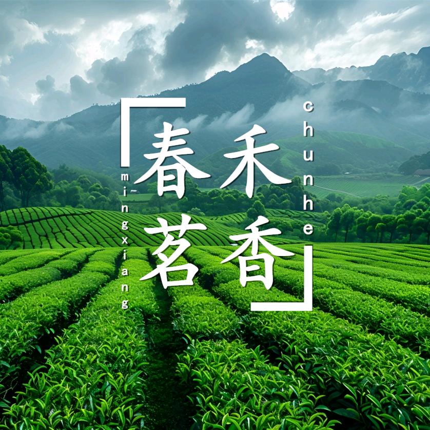 春禾茗香