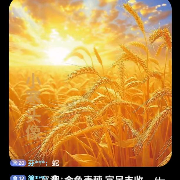 自诩