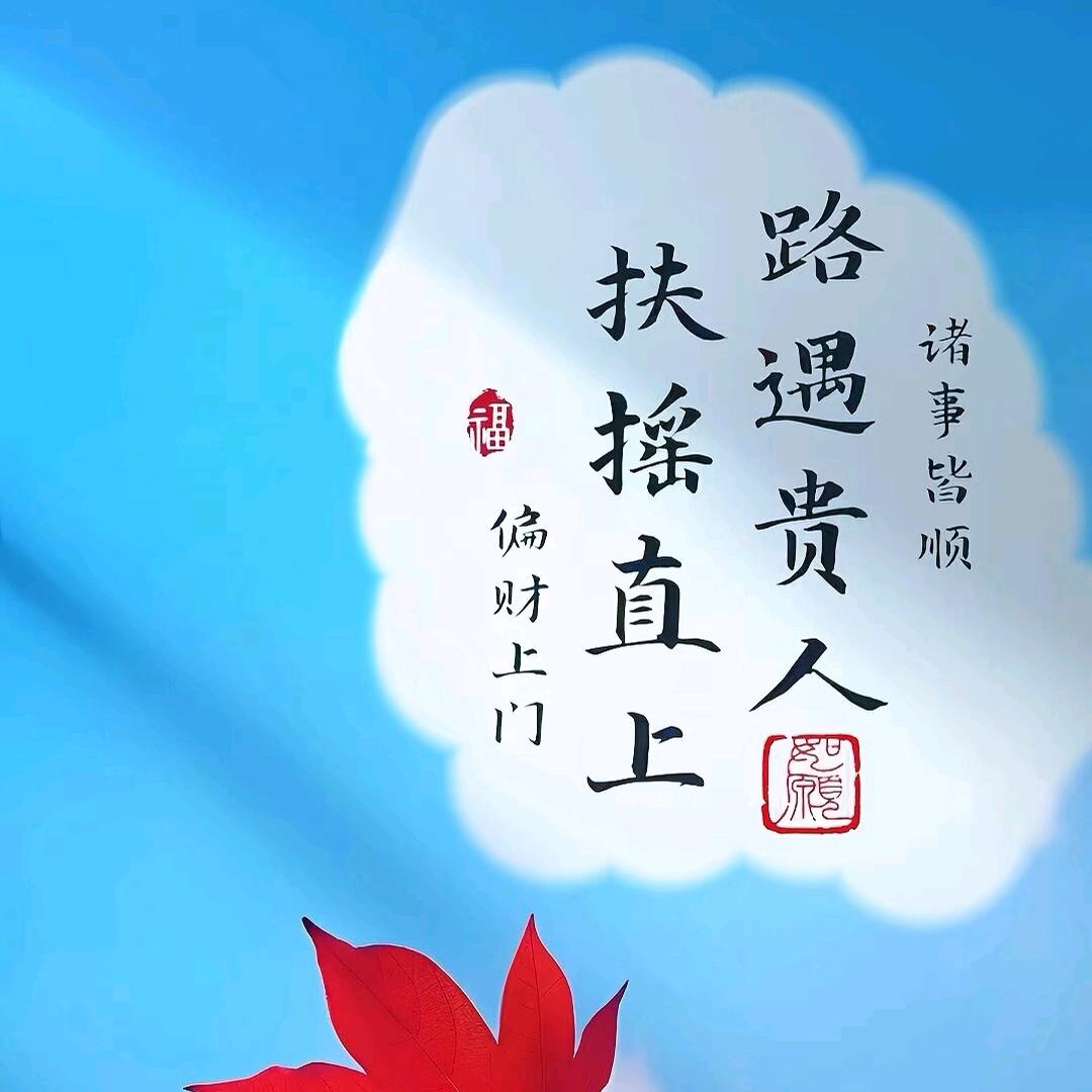 沃格bxr