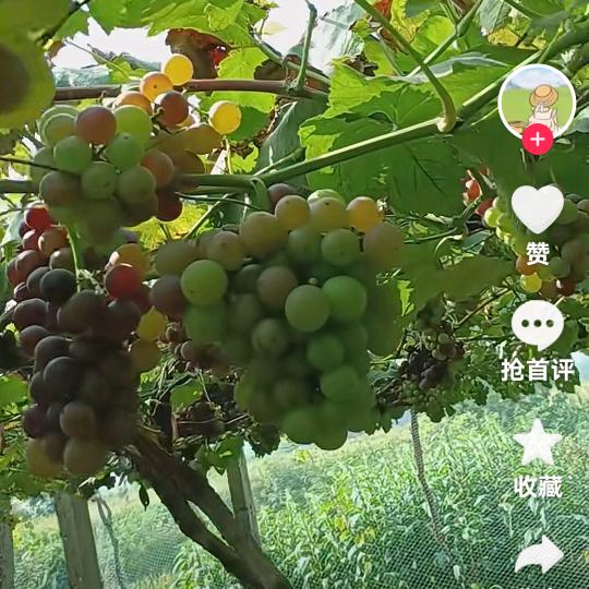 一切随缘吧
