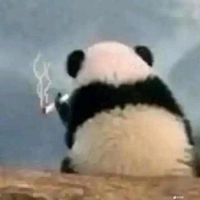 荔枝荔枝🤫