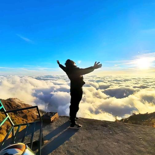 诗和远方，法金