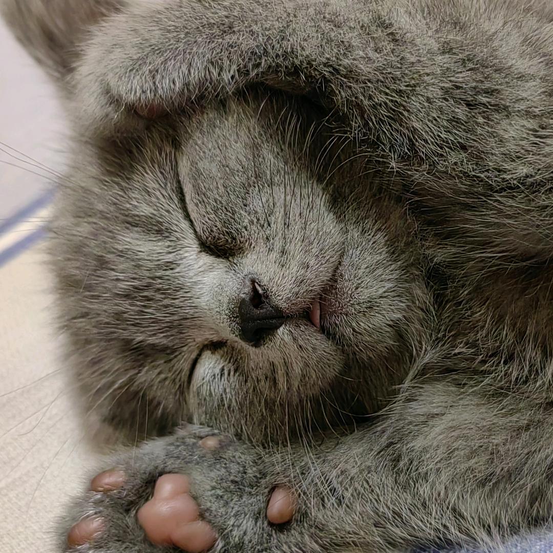 捌 點 睡