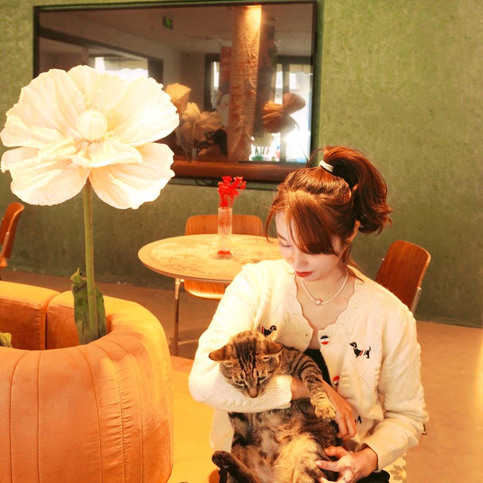 关小姐听不清辣