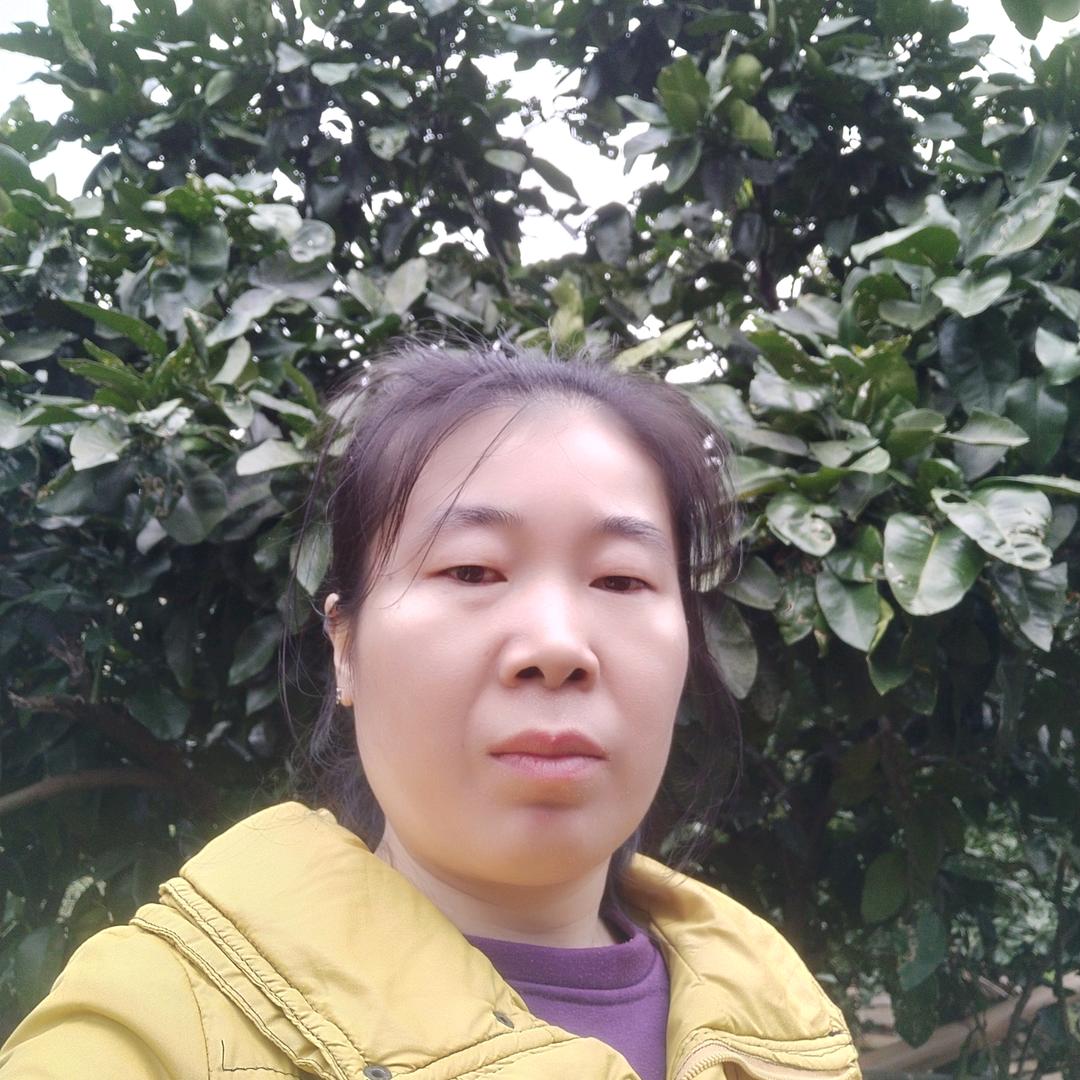 灵芝