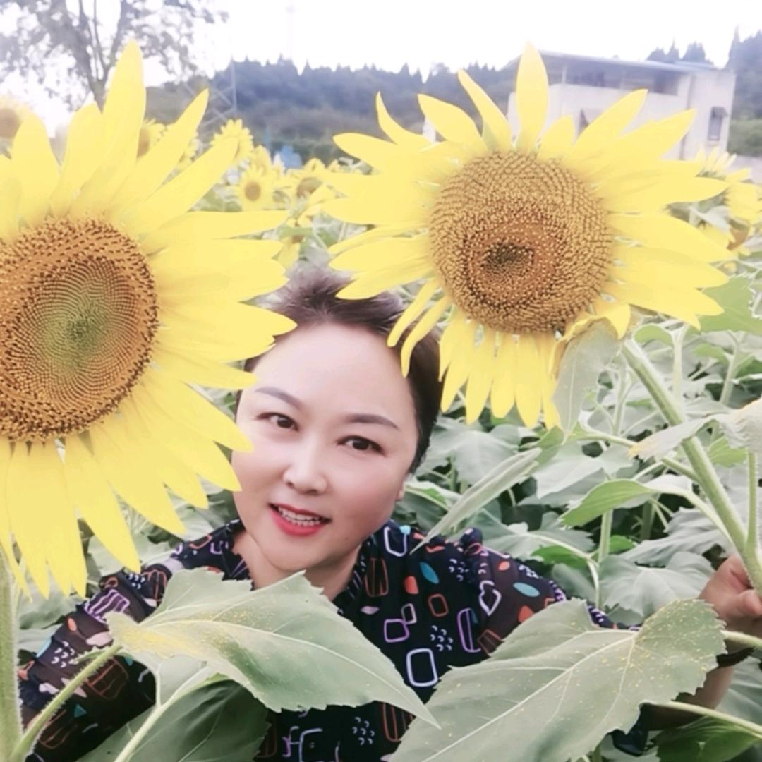 慧慧姐