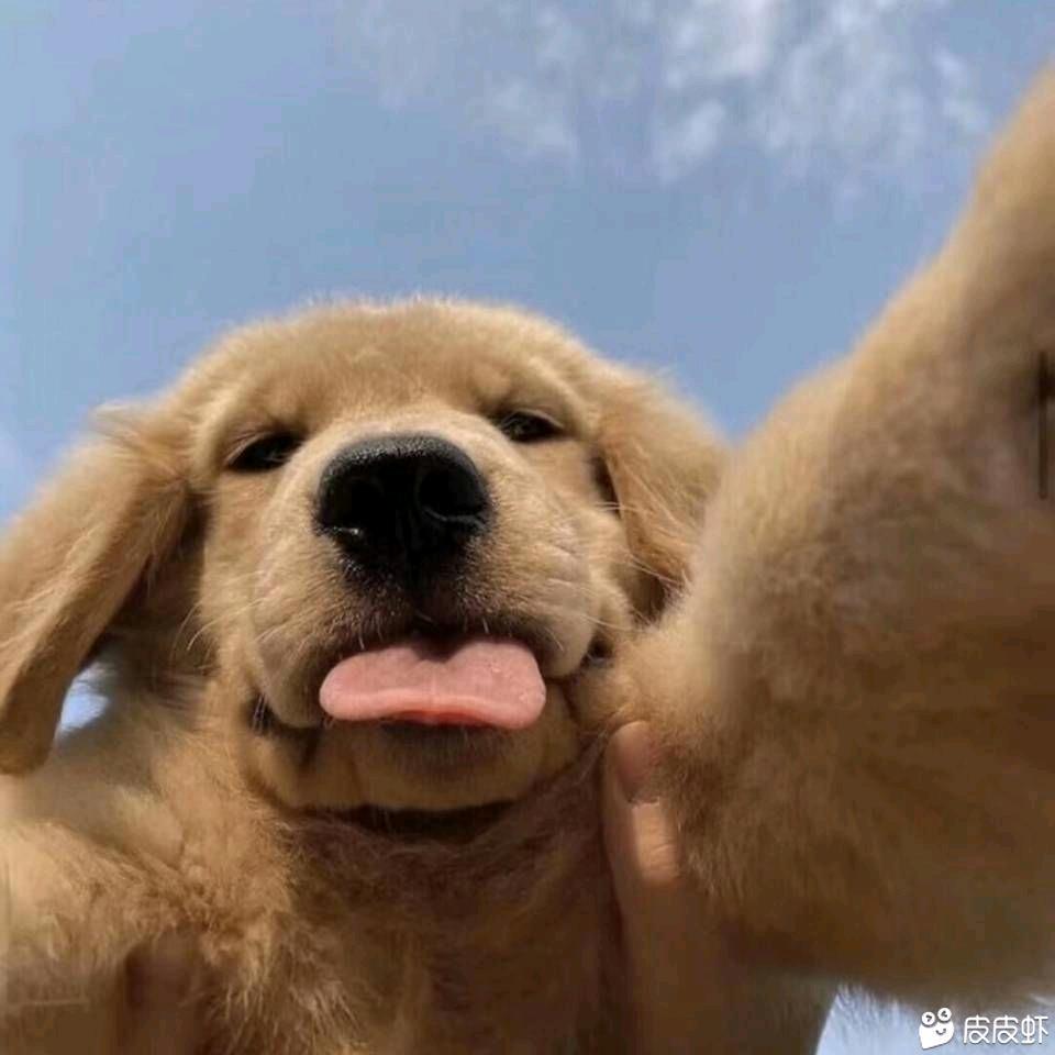 汉堡