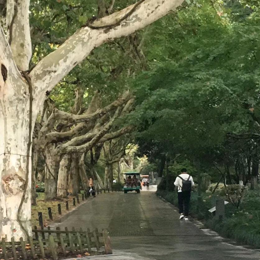 农村小哥