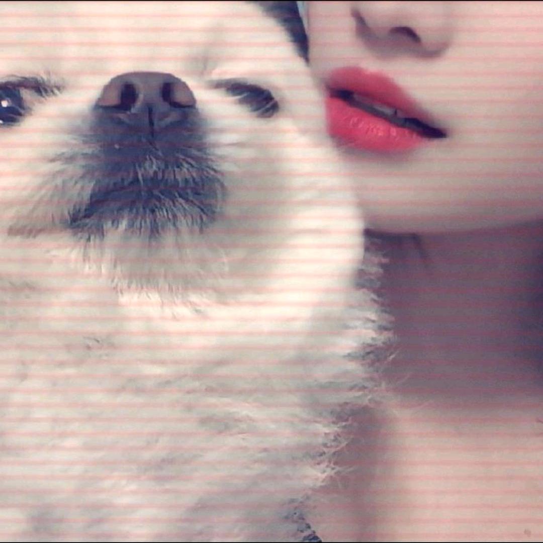 小傻瓜🌹🌹