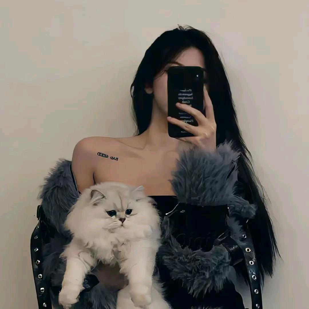 风吹散的执念🔆