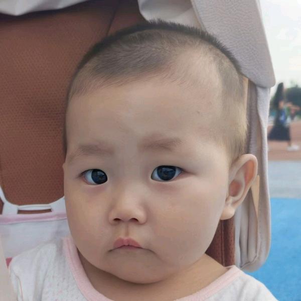 频阳之春
