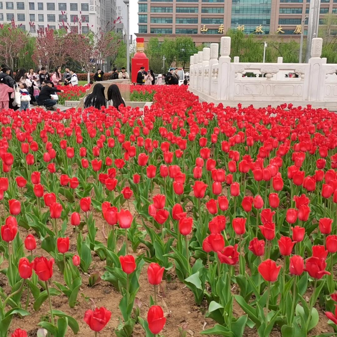 济南专业墙地砖铺贴