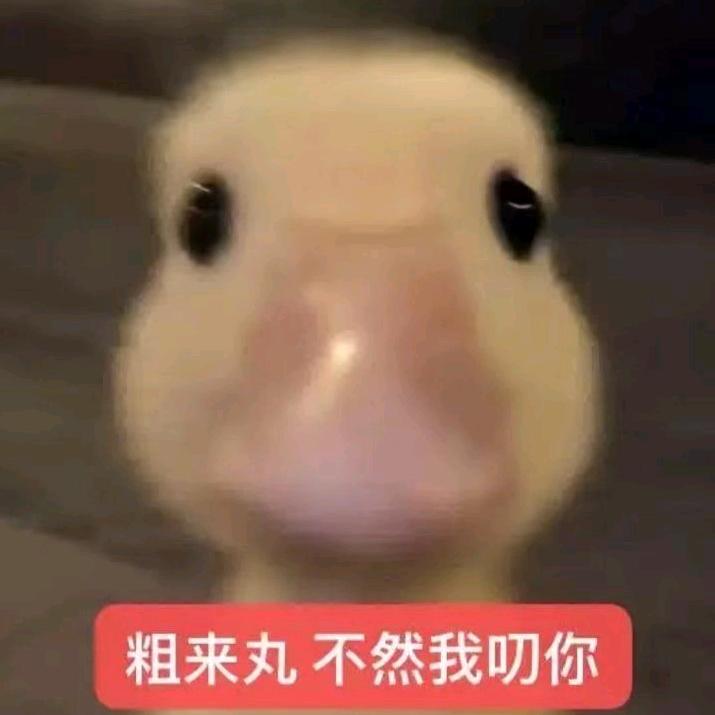 我叫蔡蕊蕊喔！