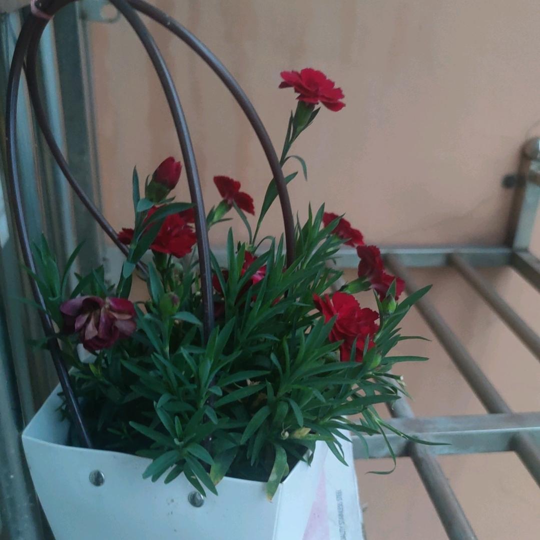 夏天里的空调…