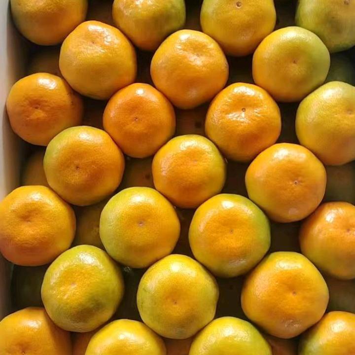 顺风顺水