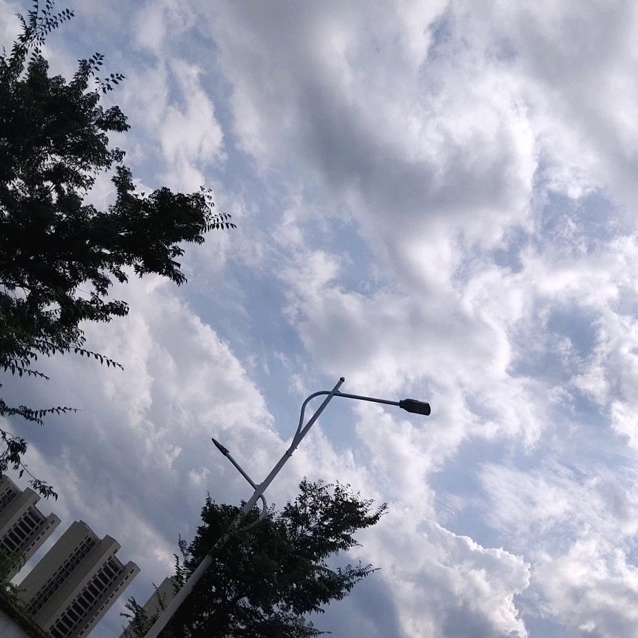 🌹名非🌹