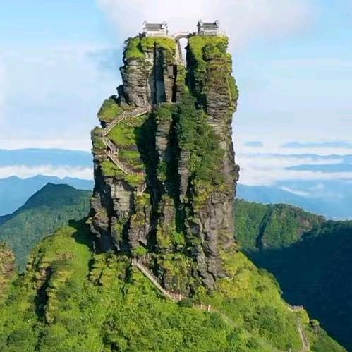 与郎共舞